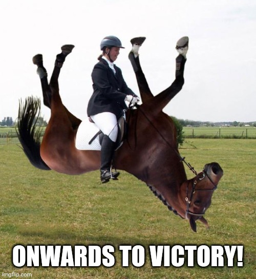 Horse upside down | ONWARDS TO VICTORY! | image tagged in horse upside down | made w/ Imgflip meme maker