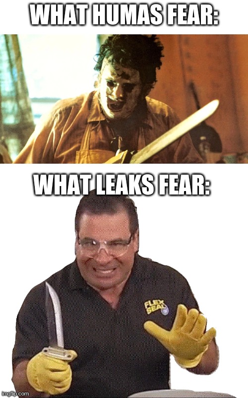 WHAT HUMAS FEAR:; WHAT LEAKS FEAR: | image tagged in blank white template | made w/ Imgflip meme maker