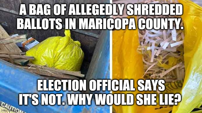 A BAG OF ALLEGEDLY SHREDDED BALLOTS IN MARICOPA COUNTY. ELECTION OFFICIAL SAYS IT'S NOT. WHY WOULD SHE LIE? | image tagged in election 2020 | made w/ Imgflip meme maker
