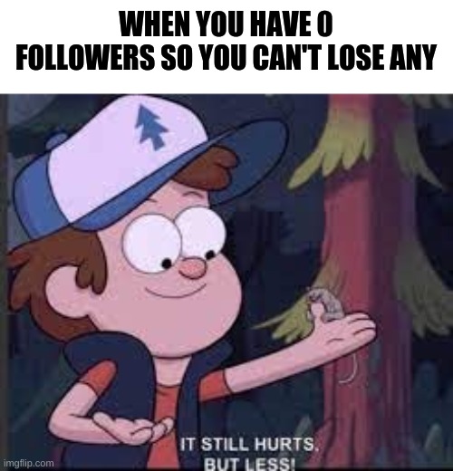 It still hurts but less Gravity Falls | WHEN YOU HAVE 0 FOLLOWERS SO YOU CAN'T LOSE ANY | image tagged in it still hurts but less gravity falls | made w/ Imgflip meme maker