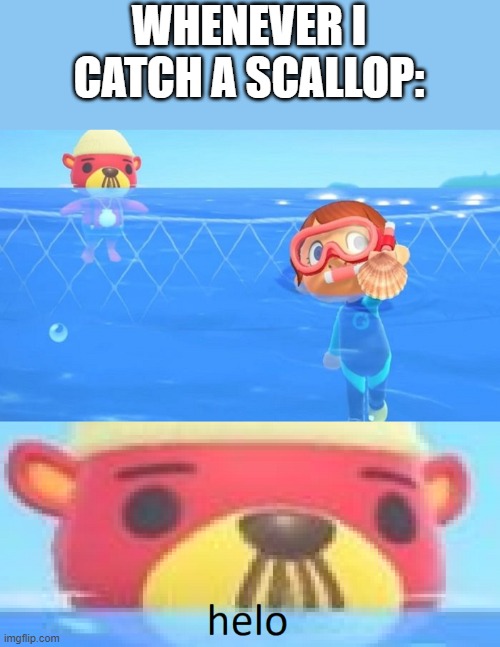 waittttt why does Pascal know when to find you? he kinda sus | WHENEVER I CATCH A SCALLOP: | image tagged in animal crossing | made w/ Imgflip meme maker