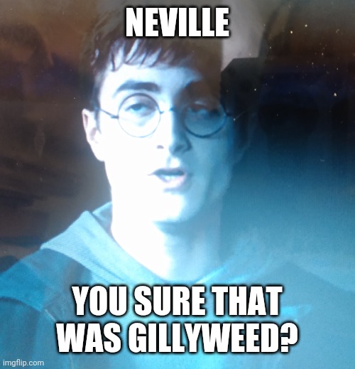 I had my movie paused and it gave me this gem | NEVILLE; YOU SURE THAT WAS GILLYWEED? | image tagged in harry potter,weed | made w/ Imgflip meme maker