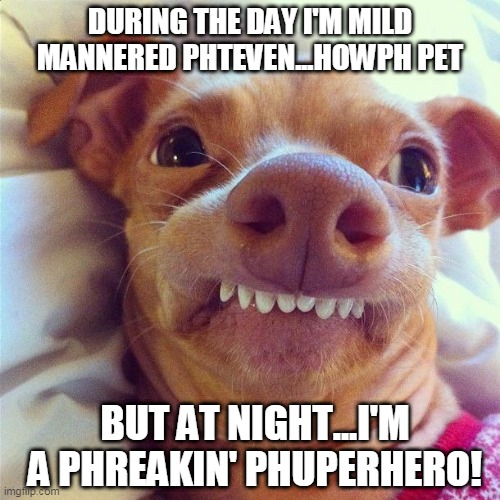 HERO | DURING THE DAY I'M MILD MANNERED PHTEVEN...HOWPH PET; BUT AT NIGHT...I'M A PHREAKIN' PHUPERHERO! | image tagged in phteven | made w/ Imgflip meme maker