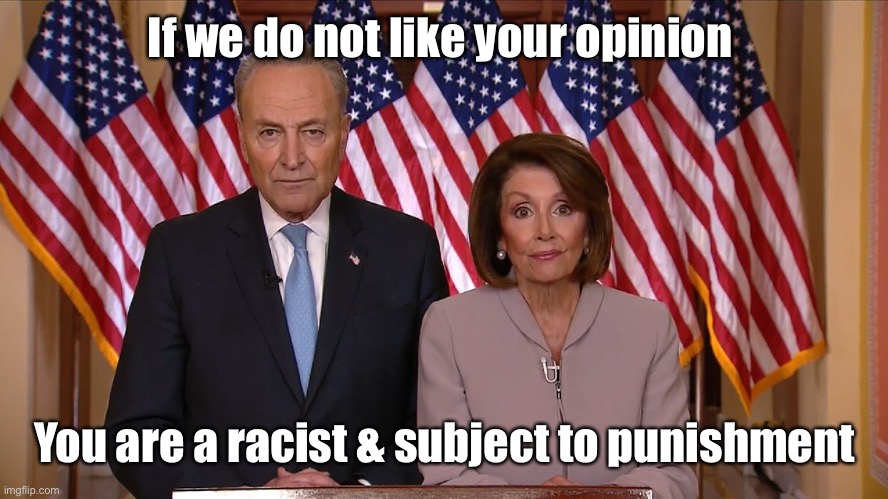 Chuck and Nancy | If we do not like your opinion You are a racist & subject to punishment | image tagged in chuck and nancy | made w/ Imgflip meme maker