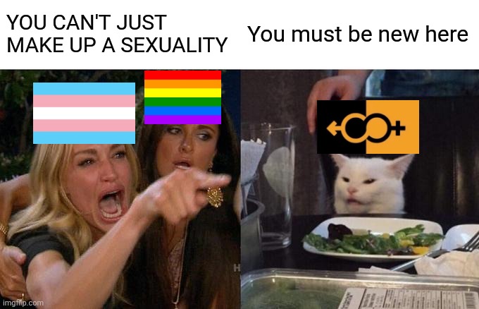When people can identify as "space," it's all fair game tbh | YOU CAN'T JUST MAKE UP A SEXUALITY; You must be new here | image tagged in memes,woman yelling at cat,politics | made w/ Imgflip meme maker