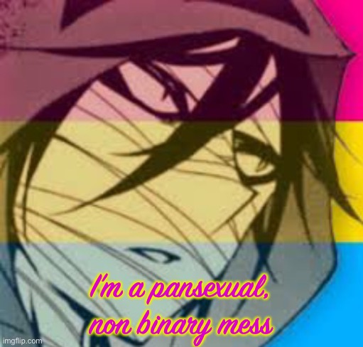 I’m a pansexual, non binary mess | made w/ Imgflip meme maker