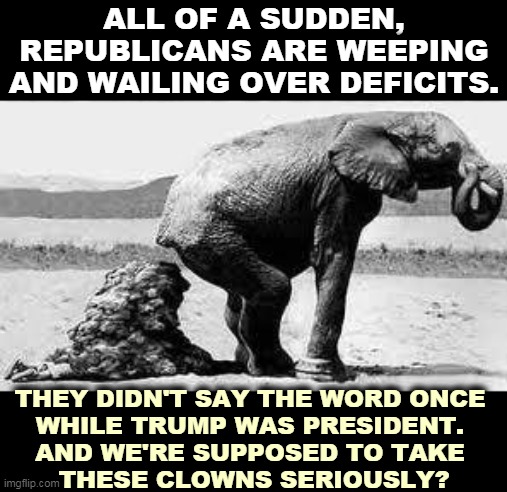 Republican hypocrites | ALL OF A SUDDEN, REPUBLICANS ARE WEEPING AND WAILING OVER DEFICITS. THEY DIDN'T SAY THE WORD ONCE 
WHILE TRUMP WAS PRESIDENT. 
AND WE'RE SUPPOSED TO TAKE 
THESE CLOWNS SERIOUSLY? | image tagged in elephant poopy,republican,hypocrites | made w/ Imgflip meme maker