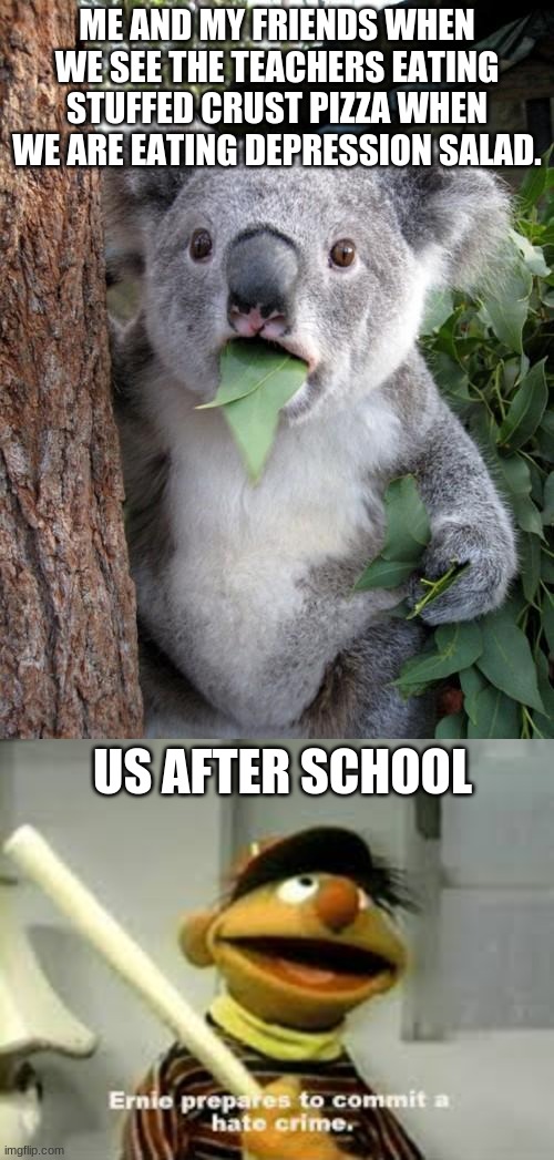 ME AND MY FRIENDS WHEN WE SEE THE TEACHERS EATING STUFFED CRUST PIZZA WHEN WE ARE EATING DEPRESSION SALAD. US AFTER SCHOOL | image tagged in memes,surprised koala,ernie prepares to commit a hate crime | made w/ Imgflip meme maker
