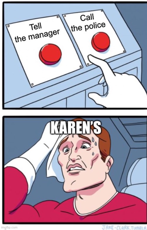 Dumb Karen’s | image tagged in karen | made w/ Imgflip meme maker