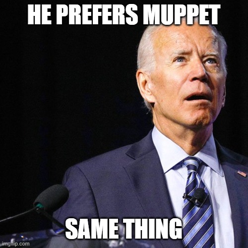 Puppet Biden | HE PREFERS MUPPET SAME THING | image tagged in puppet biden | made w/ Imgflip meme maker