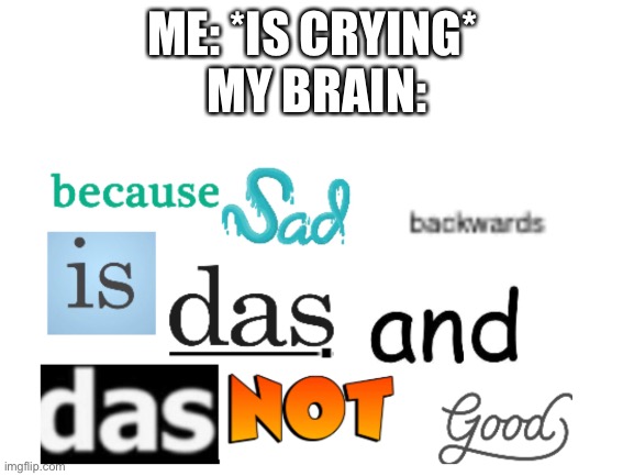 s i g h | ME: *IS CRYING* 
MY BRAIN: | image tagged in memes | made w/ Imgflip meme maker