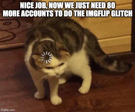 Lag Cat | NICE JOB, NOW WE JUST NEED 80 MORE ACCOUNTS TO DO THE IMGFLIP GLITCH | image tagged in lag cat | made w/ Imgflip meme maker