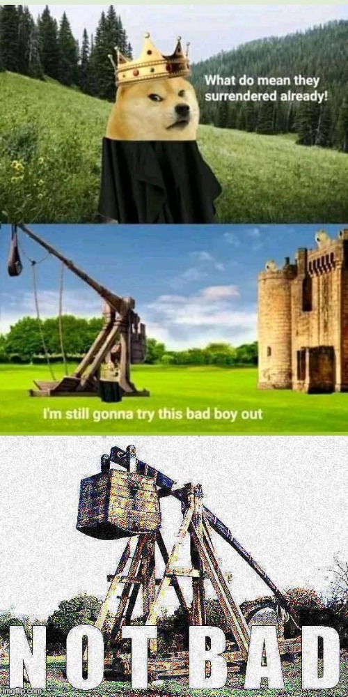 I love trebuchets | image tagged in trebuchet not bad deep-fried,gaming,pc gaming,online gaming,video games,video game | made w/ Imgflip meme maker