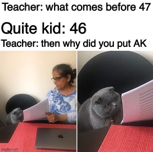 Woman showing paper to cat | Teacher: what comes before 47; Quite kid: 46; Teacher: then why did you put AK | image tagged in woman showing paper to cat | made w/ Imgflip meme maker