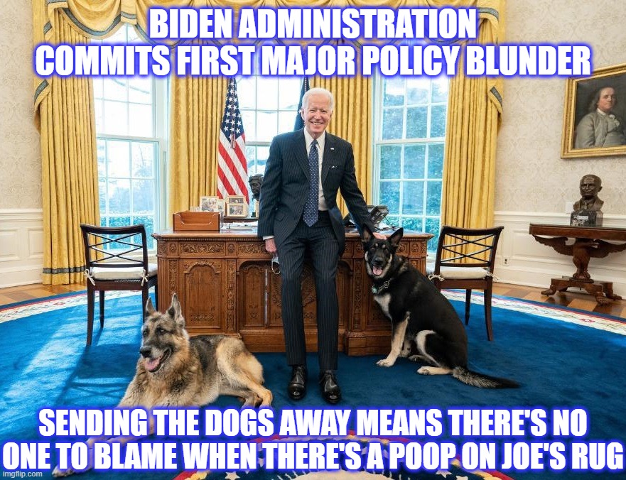 Don't worry, the dogs will be back. | BIDEN ADMINISTRATION COMMITS FIRST MAJOR POLICY BLUNDER; SENDING THE DOGS AWAY MEANS THERE'S NO ONE TO BLAME WHEN THERE'S A POOP ON JOE'S RUG | image tagged in joe biden,biden,biden depends,incontinence | made w/ Imgflip meme maker