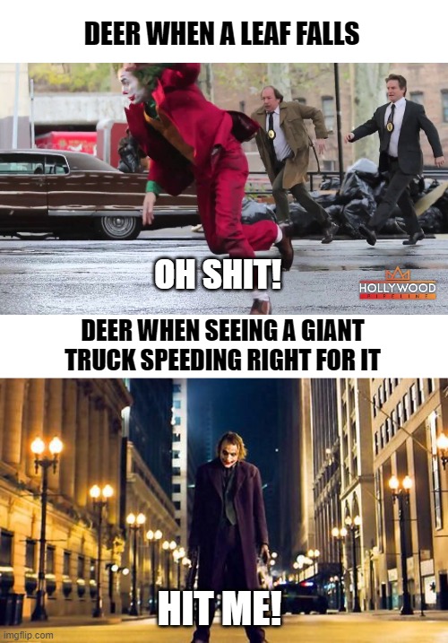 DEER WHEN A LEAF FALLS; OH SHIT! DEER WHEN SEEING A GIANT TRUCK SPEEDING RIGHT FOR IT; HIT ME! | image tagged in joker,deer | made w/ Imgflip meme maker