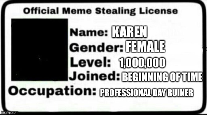 Meme Stealing License | KAREN; FEMALE; 1,000,000; BEGINNING OF TIME; PROFESSIONAL DAY RUINER | image tagged in meme stealing license | made w/ Imgflip meme maker