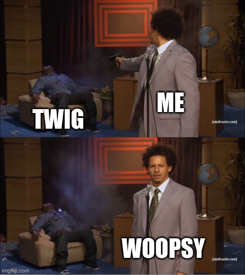 Who Killed Hannibal | ME; TWIG; WOOPSY | image tagged in memes,who killed hannibal | made w/ Imgflip meme maker