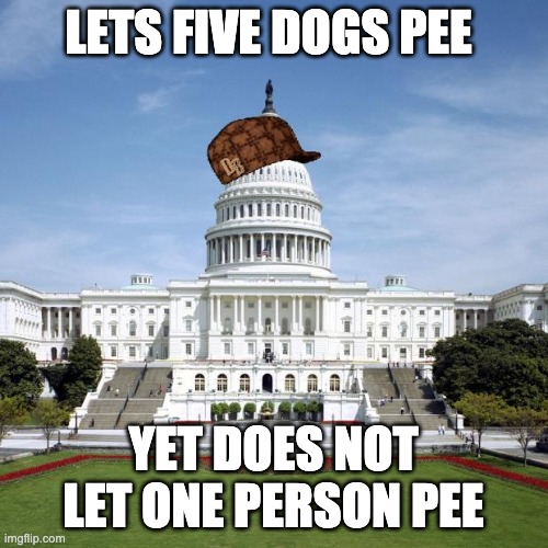 Scumbag Government | LETS FIVE DOGS PEE YET DOES NOT LET ONE PERSON PEE | image tagged in scumbag government | made w/ Imgflip meme maker