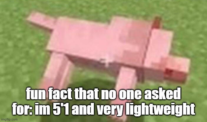 minecraft dog dying | fun fact that no one asked for: im 5'1 and very lightweight | image tagged in minecraft dog dying | made w/ Imgflip meme maker