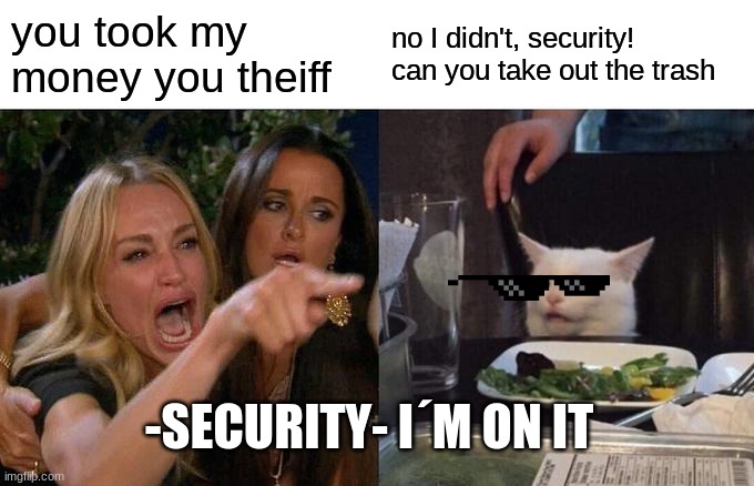 never mess with a cat! | you took my money you theiff; no I didn't, security! can you take out the trash; -SECURITY- I´M ON IT | image tagged in memes,woman yelling at cat | made w/ Imgflip meme maker