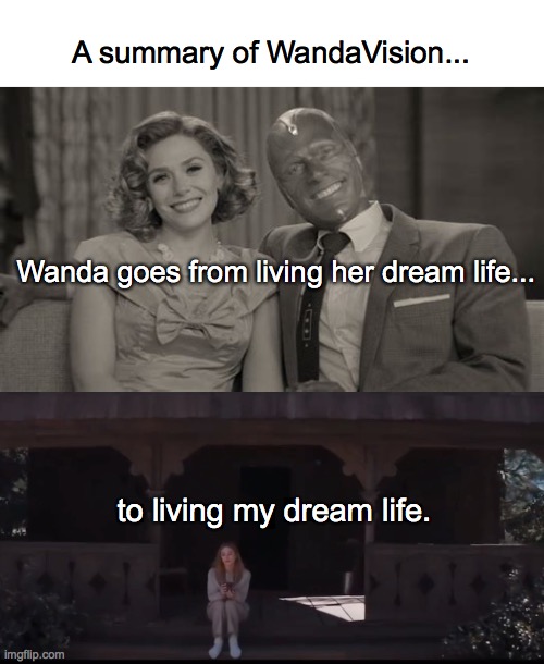 A summary of WandaVision... Wanda goes from living her dream life... to living my dream life. | image tagged in wandavision,vision,wanda | made w/ Imgflip meme maker