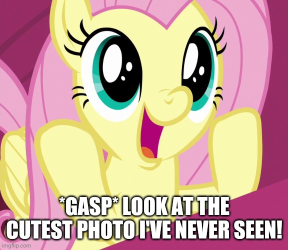 *GASP* LOOK AT THE CUTEST PHOTO I'VE NEVER SEEN! | made w/ Imgflip meme maker