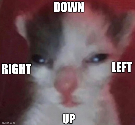 DOWN; RIGHT; LEFT; UP | made w/ Imgflip meme maker