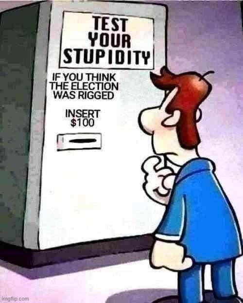 Test your stupidity rigged election | image tagged in test your stupidity rigged election,rigged elections,rigged,voter fraud,election fraud,2020 elections | made w/ Imgflip meme maker