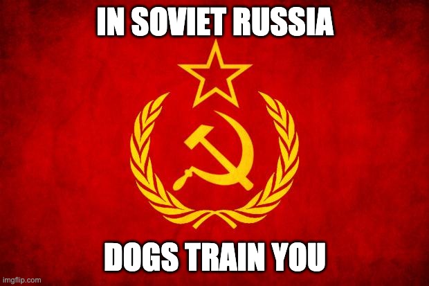 In Soviet Russia | IN SOVIET RUSSIA DOGS TRAIN YOU | image tagged in in soviet russia | made w/ Imgflip meme maker