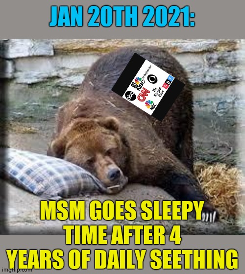 Hibernation Bear | JAN 20TH 2021:; MSM GOES SLEEPY TIME AFTER 4 YEARS OF DAILY SEETHING | image tagged in hibernation bear,msm,idiot box,parasitic bloodsuckers | made w/ Imgflip meme maker