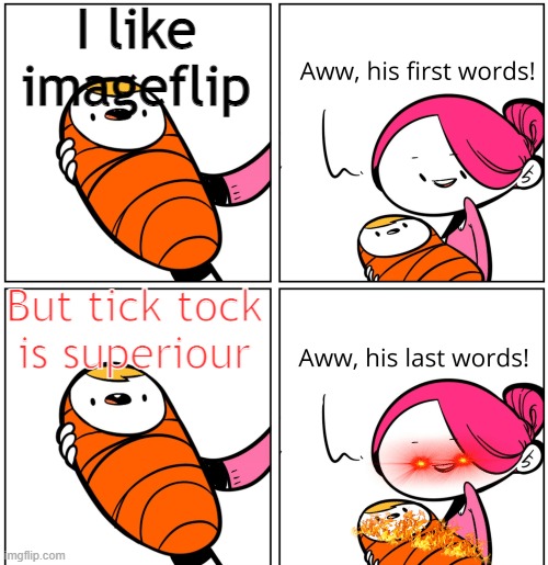 Tick tock sucks | I like imageflip; But tick tock is superiour | image tagged in aww his last words | made w/ Imgflip meme maker