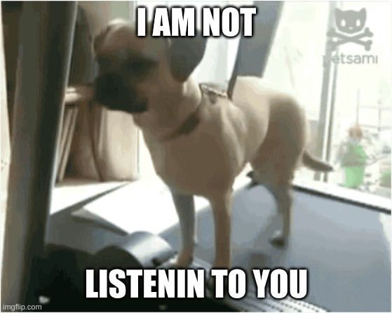 i am not listenin to you | I AM NOT; LISTENIN TO YOU | image tagged in funny memes | made w/ Imgflip meme maker