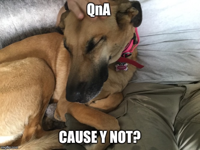 QnA; CAUSE Y NOT? | made w/ Imgflip meme maker