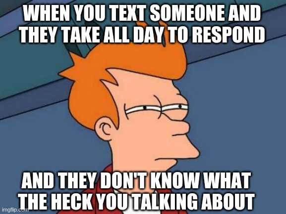 Meme | WHEN YOU TEXT SOMEONE AND THEY TAKE ALL DAY TO RESPOND; AND THEY DON'T KNOW WHAT THE HECK YOU TALKING ABOUT | image tagged in memes,futurama fry | made w/ Imgflip meme maker