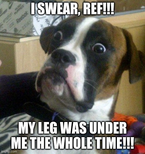 Can Anyone Else Relate? | I SWEAR, REF!!! MY LEG WAS UNDER ME THE WHOLE TIME!!! | image tagged in scared dog | made w/ Imgflip meme maker