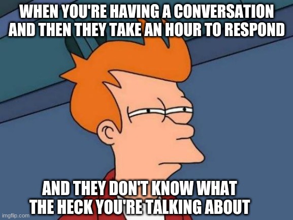 Meme | WHEN YOU'RE HAVING A CONVERSATION AND THEN THEY TAKE AN HOUR TO RESPOND; AND THEY DON'T KNOW WHAT THE HECK YOU'RE TALKING ABOUT | image tagged in memes,futurama fry | made w/ Imgflip meme maker