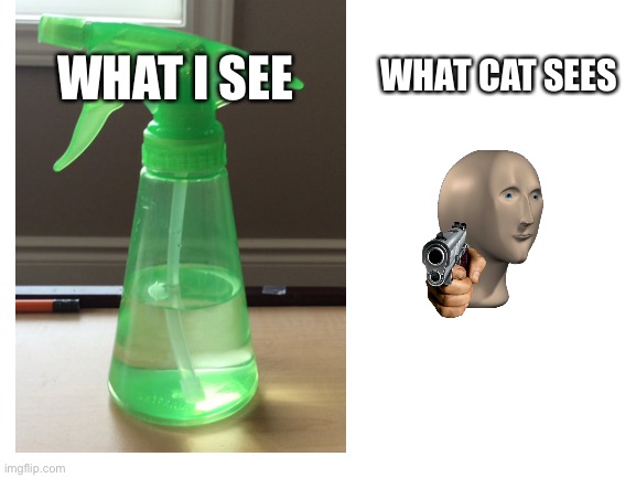 Cats be like | WHAT CAT SEES; WHAT I SEE | image tagged in cats,water,guns | made w/ Imgflip meme maker