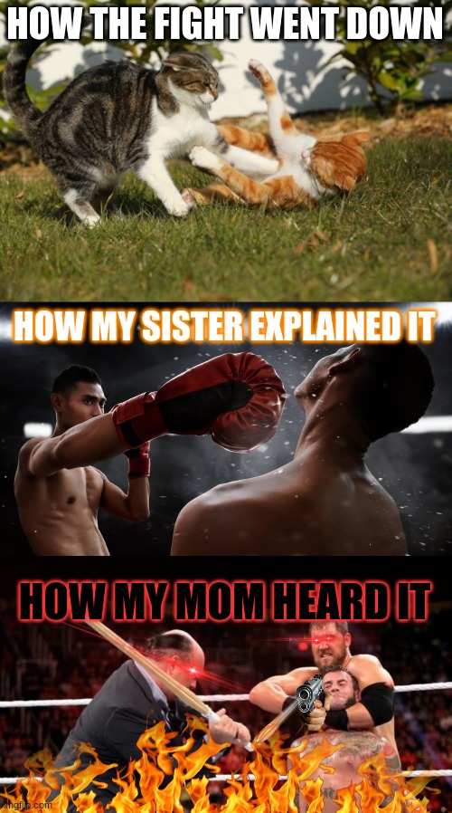 every time I have a conflict with a sibling | HOW THE FIGHT WENT DOWN; HOW MY SISTER EXPLAINED IT; HOW MY MOM HEARD IT | image tagged in oh wow are you actually reading these tags | made w/ Imgflip meme maker