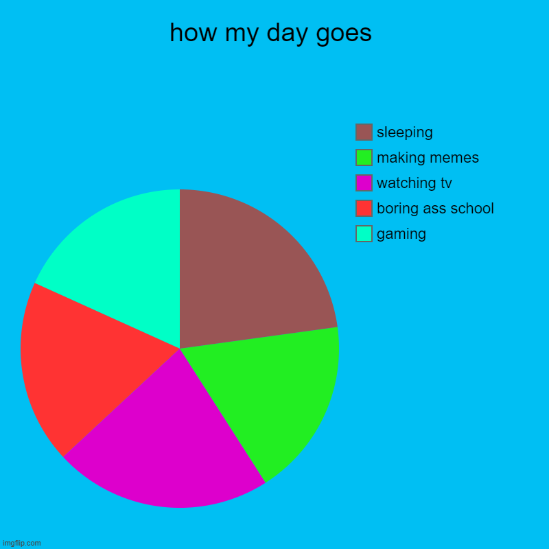 yes | how my day goes | gaming, boring ass school, watching tv, making memes, sleeping | image tagged in charts,pie charts | made w/ Imgflip chart maker