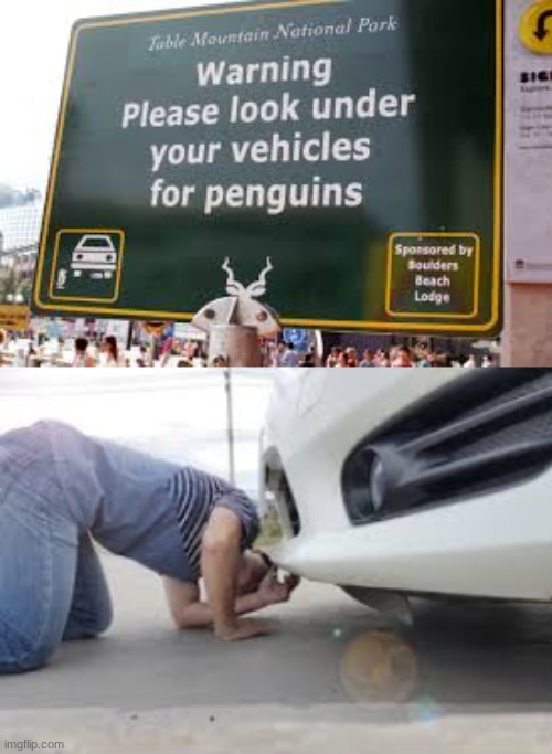 wut??? | image tagged in funny signs | made w/ Imgflip meme maker
