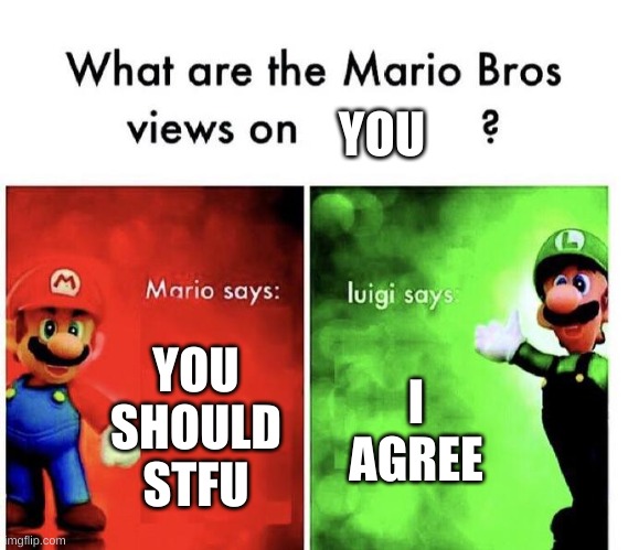 Mario Bros Views | YOU SHOULD STFU I AGREE YOU | image tagged in mario bros views | made w/ Imgflip meme maker