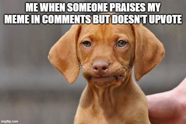 Dissapointed puppy | ME WHEN SOMEONE PRAISES MY MEME IN COMMENTS BUT DOESN'T UPVOTE | image tagged in dissapointed puppy | made w/ Imgflip meme maker