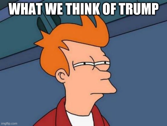 Futurama Fry | WHAT WE THINK OF TRUMP | image tagged in memes,futurama fry | made w/ Imgflip meme maker