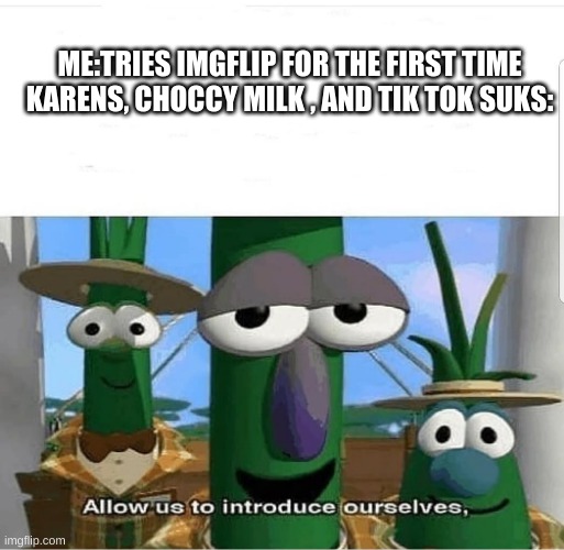 why hello there | ME:TRIES IMGFLIP FOR THE FIRST TIME



KARENS, CHOCCY MILK , AND TIK TOK SUKS: | image tagged in allow us to introduce ourselves | made w/ Imgflip meme maker