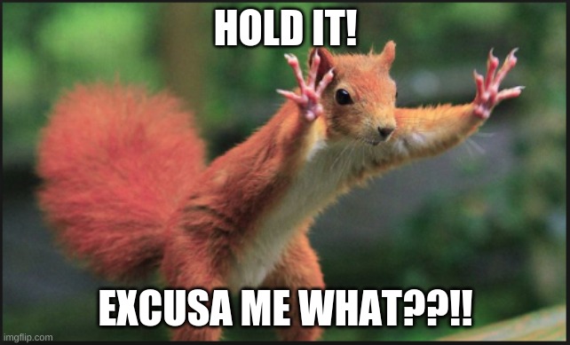 Hold on Squirl | HOLD IT! EXCUSA ME WHAT??!! | image tagged in hold on squirl | made w/ Imgflip meme maker