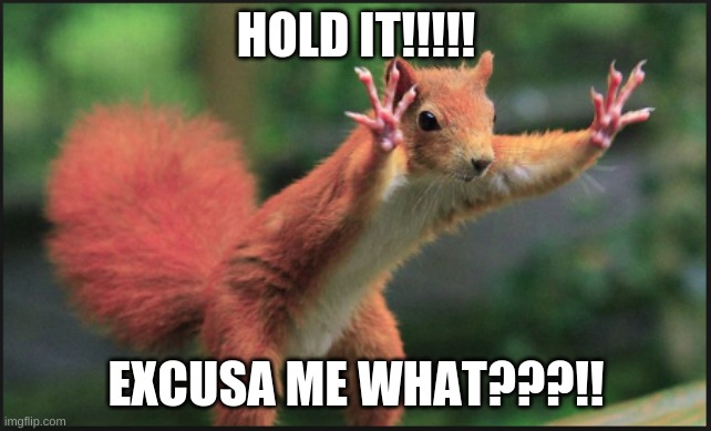 Hold on Squirl | HOLD IT!!!!! EXCUSA ME WHAT???!! | image tagged in hold on squirl | made w/ Imgflip meme maker