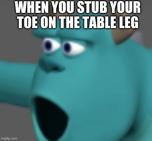 nervous system go brrrrrrr | WHEN YOU STUB YOUR TOE ON THE TABLE LEG | image tagged in toes | made w/ Imgflip meme maker