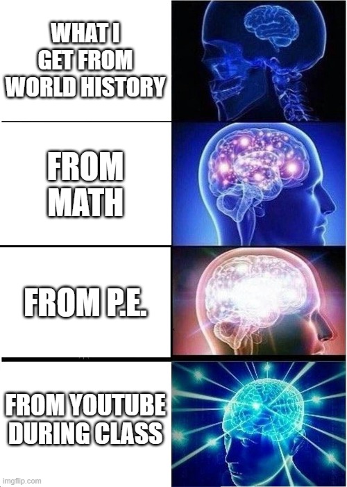 Expanding Brain | WHAT I GET FROM WORLD HISTORY; FROM MATH; FROM P.E. FROM YOUTUBE DURING CLASS | image tagged in memes,expanding brain | made w/ Imgflip meme maker