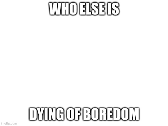 Blank White Template | WHO ELSE IS; DYING OF BOREDOM | image tagged in blank white template | made w/ Imgflip meme maker